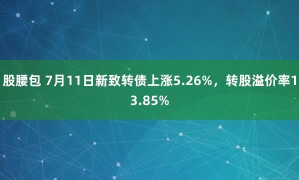 股腰包 7月11日新致转债上涨5.26%，转股溢价率13.85%