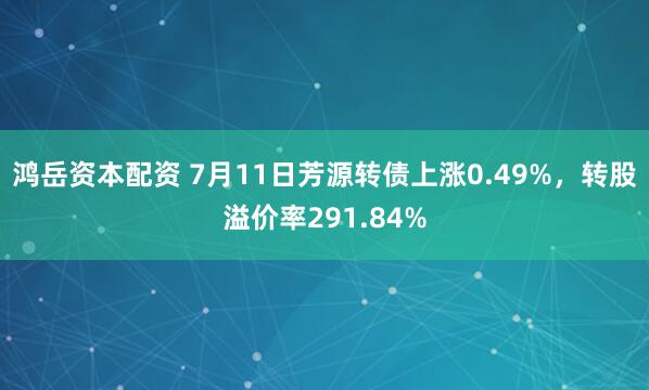 鸿岳资本配资 7月11日芳源转债上涨0.49%，转股溢价率291.84%