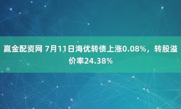 赢金配资网 7月11日海优转债上涨0.08%，转股溢价率24.38%