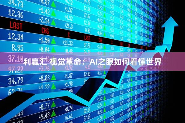 利赢汇 视觉革命：AI之眼如何看懂世界