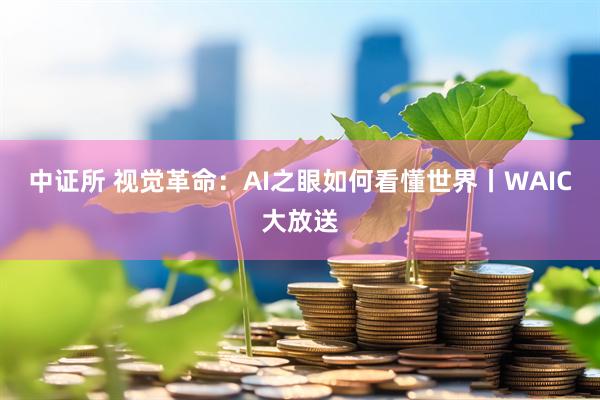 中证所 视觉革命：AI之眼如何看懂世界丨WAIC大放送