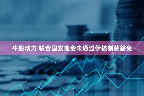 牛股动力 联合国安理会未通过伊核制裁豁免