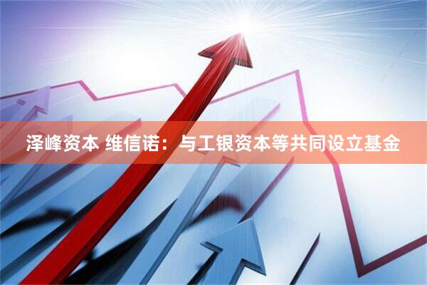 泽峰资本 维信诺：与工银资本等共同设立基金