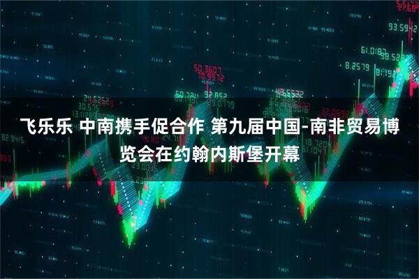 飞乐乐 中南携手促合作 第九届中国-南非贸易博览会在约翰内斯堡开幕