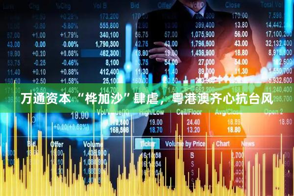 万通资本 “桦加沙”肆虐，粤港澳齐心抗台风