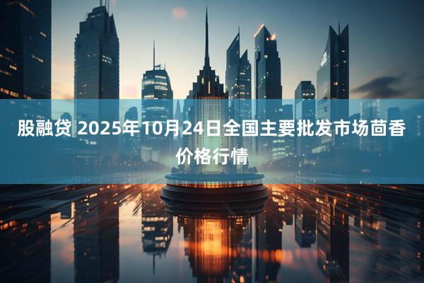 股融贷 2025年10月24日全国主要批发市场茴香价格行情