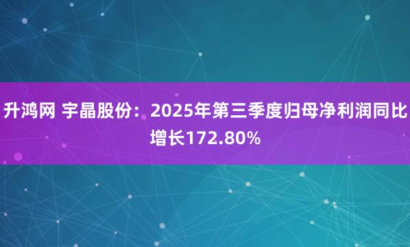 升鸿网 宇晶股份：2025年第三季度归母净利润同比增长172.80%