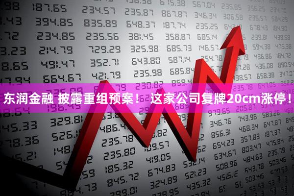 东润金融 披露重组预案！ 这家公司复牌20cm涨停！